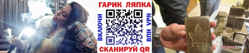 Купить где  Торопец  Гашиш Cannabis 