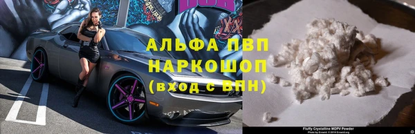 СК Инсар