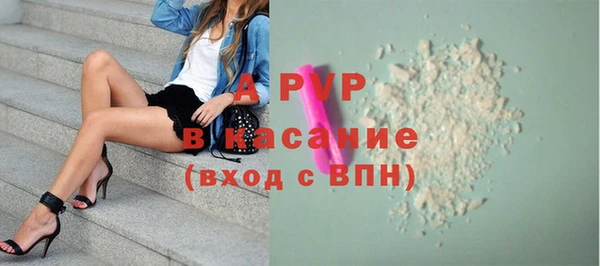 СК Инсар