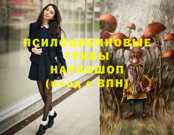 шишки Зеленокумск