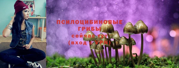 шишки Зеленодольск