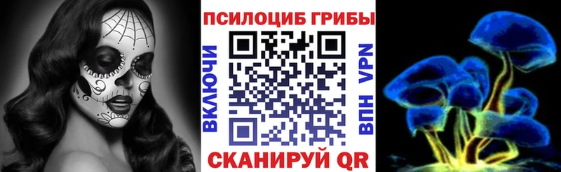 Купить закладки  Торопец  Галлюциногенные грибы прущие грибы 